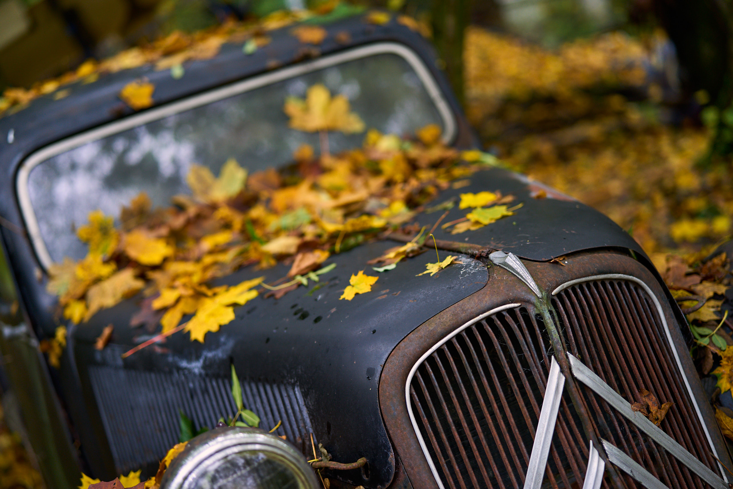 Auto Skulpturen Park 0125